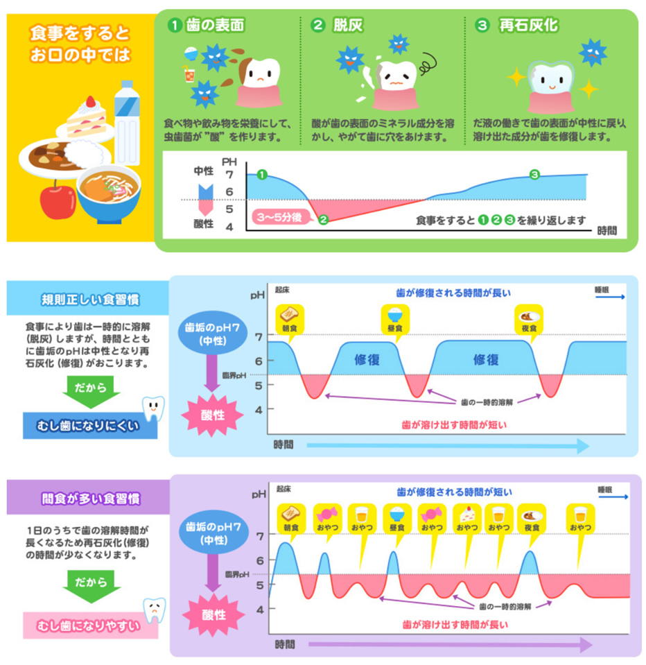 再石灰化(修復)の時間が少なくなると虫歯になりやすい